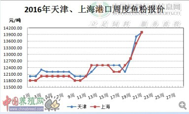 魚(yú)粉.jpg